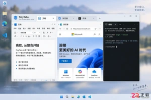 TidyTabs快捷键怎么设置及使用教程