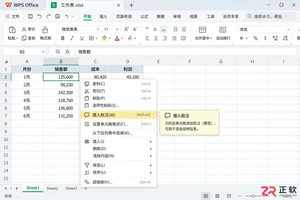 WPS 表格怎么插入批注备注内容