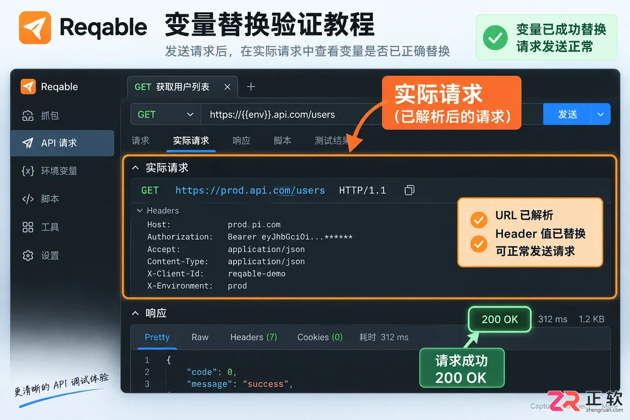 reqable全局变量设置在哪里完整操作教程