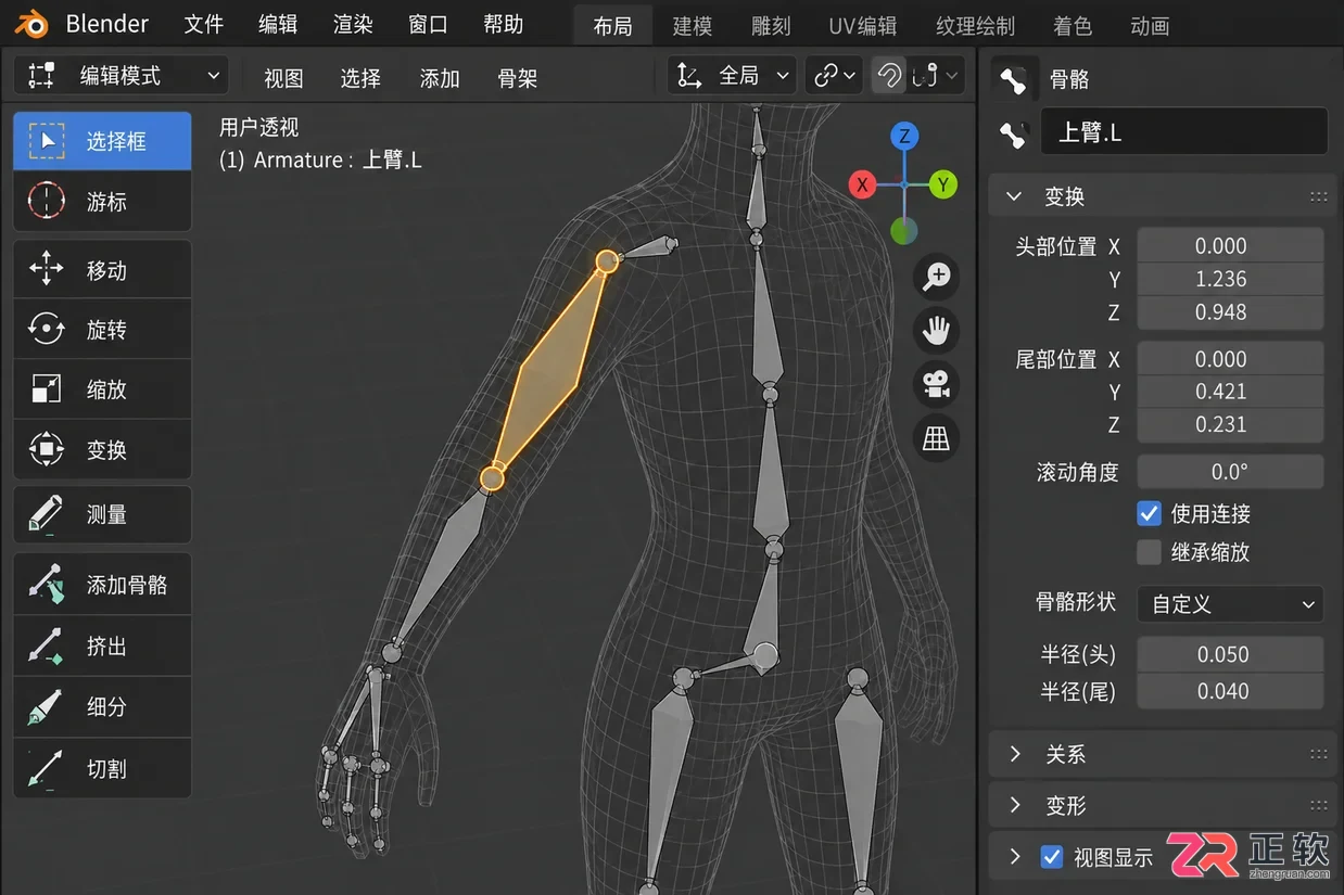 blender绑定骨骼教程详解自动绑定操作步骤与常见错误解决