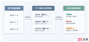 linux系统终止进程快捷键是什么及使用方法