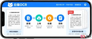 识别速度慢是什么原因?白猫OCR文件大小和网络排查