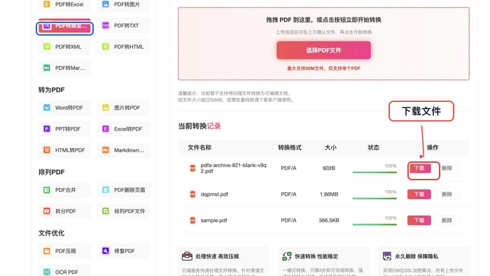 PDF转PDF/A下载结果并重新打开真实中文页面图
