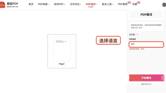 PDF翻译核对文件状态和名称真实中文页面图