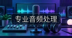 专业音频处理