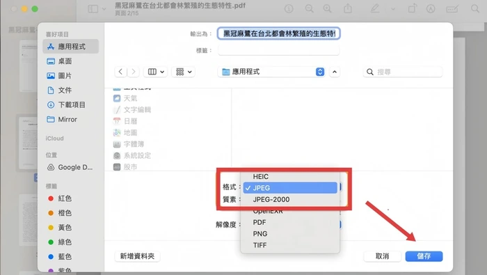 Mac 预览选择 JPEG 或 PNG