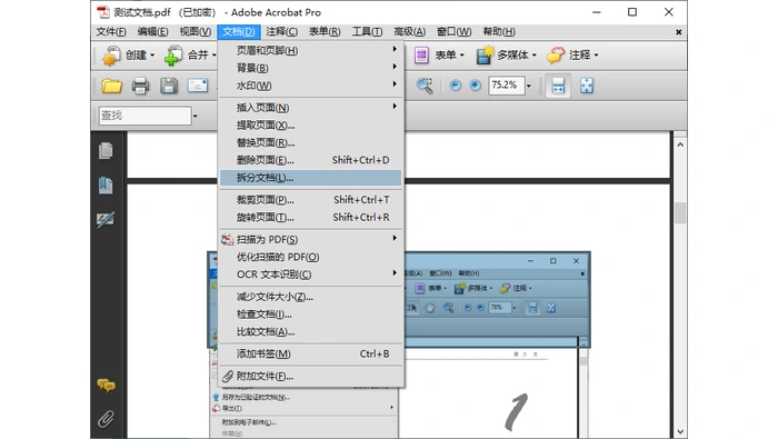 Acrobat设置提取页码范围真实界面图