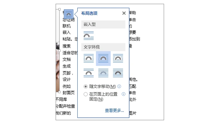 Word 图片布局选项面板
